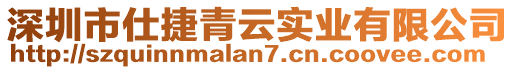 深圳市仕捷青云實業(yè)有限公司
