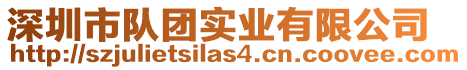 深圳市隊團實業有限公司