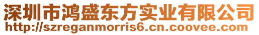 深圳市鴻盛東方實業有限公司