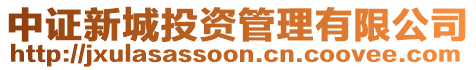 中證新城投資管理有限公司