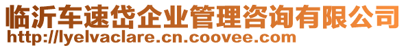 臨沂車速岱企業管理咨詢有限公司