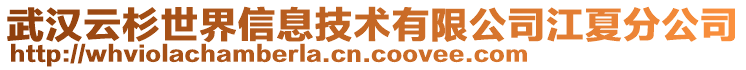 武漢云杉世界信息技術有限公司江夏分公司