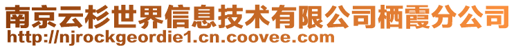南京云杉世界信息技術有限公司棲霞分公司