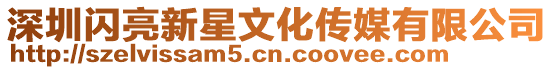 深圳閃亮新星文化傳媒有限公司
