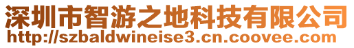 深圳市智游之地科技有限公司