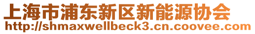 上海市浦東新區(qū)新能源協(xié)會(huì)