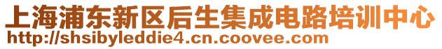 上海浦東新區(qū)后生集成電路培訓(xùn)中心