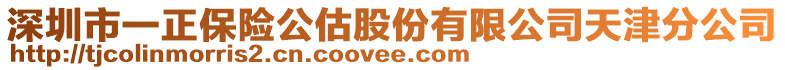 深圳市一正保險公估股份有限公司天津分公司