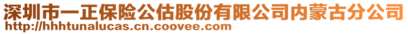 深圳市一正保險公估股份有限公司內(nèi)蒙古分公司