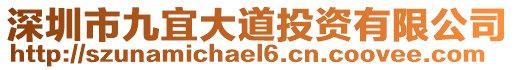 深圳市九宜大道投資有限公司