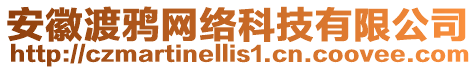 安徽渡鴉網(wǎng)絡(luò)科技有限公司