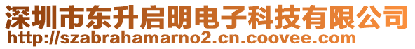 深圳市東升啟明電子科技有限公司