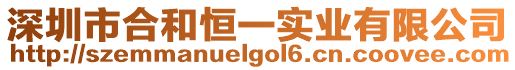 深圳市合和恒一實業有限公司