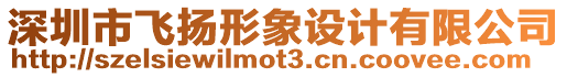 深圳市飛揚(yáng)形象設(shè)計(jì)有限公司