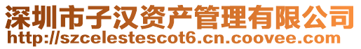 深圳市子漢資產管理有限公司
