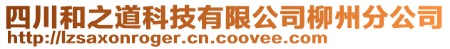 四川和之道科技有限公司柳州分公司