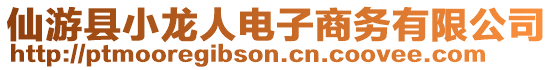 仙游縣小龍人電子商務(wù)有限公司