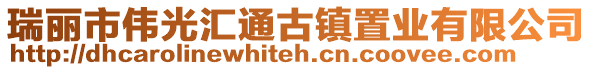 瑞麗市偉光匯通古鎮(zhèn)置業(yè)有限公司