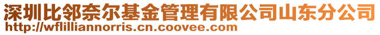 深圳比鄰奈爾基金管理有限公司山東分公司