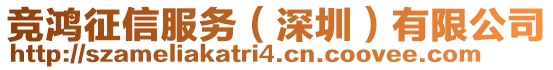 競鴻征信服務(深圳)有限公司