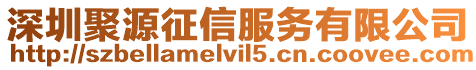 深圳聚源征信服務有限公司