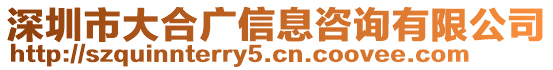 深圳市大合廣信息咨詢有限公司