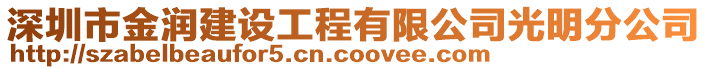 深圳市金潤(rùn)建設(shè)工程有限公司光明分公司