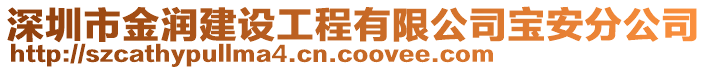 深圳市金潤建設(shè)工程有限公司寶安分公司