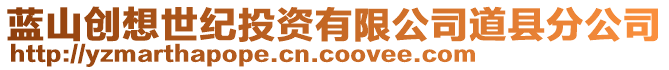 藍(lán)山創(chuàng)想世紀(jì)投資有限公司道縣分公司