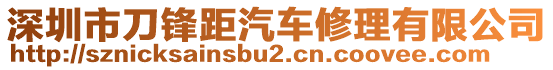 深圳市刀鋒距汽車修理有限公司