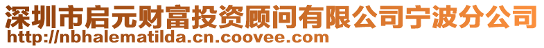深圳市啟元財富投資顧問有限公司寧波分公司