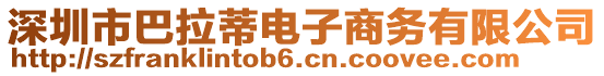 深圳市巴拉蒂電子商務有限公司