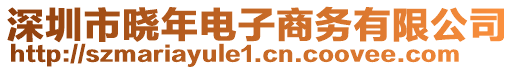 深圳市曉年電子商務有限公司