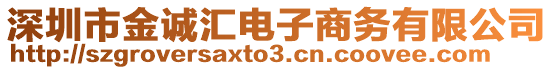深圳市金誠匯電子商務有限公司