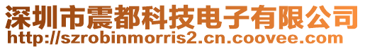 深圳市震都科技電子有限公司