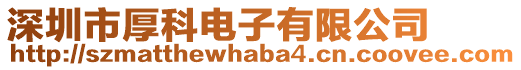 深圳市厚科電子有限公司