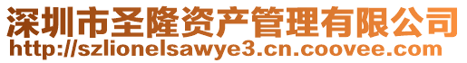 深圳市圣隆資產(chǎn)管理有限公司