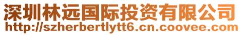 深圳林遠(yuǎn)國(guó)際投資有限公司