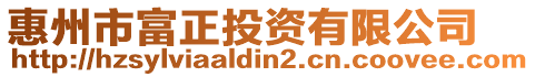 惠州市富正投資有限公司