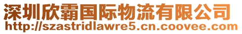 深圳欣霸國際物流有限公司