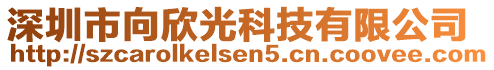 深圳市向欣光科技有限公司