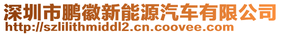 深圳市鵬徽新能源汽車有限公司