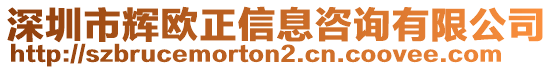 深圳市輝歐正信息咨詢(xún)有限公司