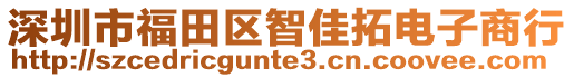 深圳市福田區(qū)智佳拓電子商行