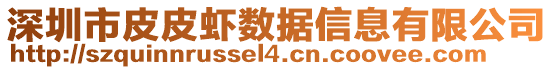 深圳市皮皮蝦數(shù)據(jù)信息有限公司