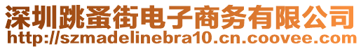 深圳跳蚤街電子商務有限公司