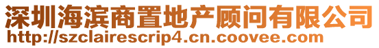 深圳海濱商置地產(chǎn)顧問有限公司
