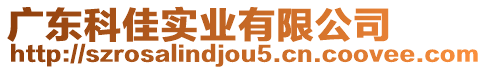 廣東科佳實業有限公司