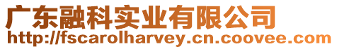 廣東融科實業有限公司
