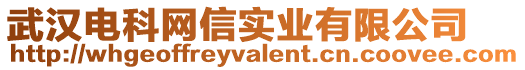 武漢電科網信實業有限公司